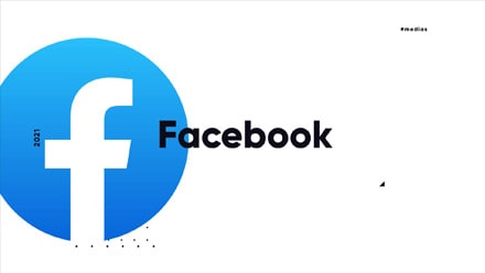 Facebook - Les géants du net